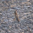img-20180324-wa0059.jpg